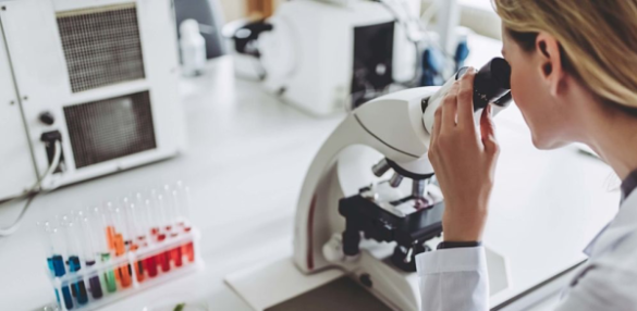 სამედიცინო ტურიზმის კომპანია