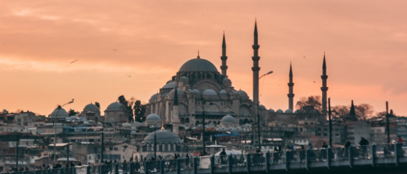 გულის სარქველის ოპერაცია თურქეთში