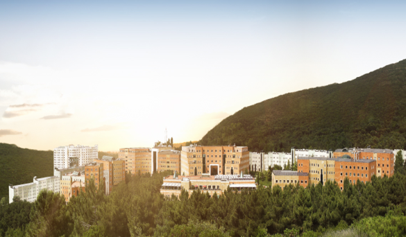 Yeditepe Clinic in Turkey